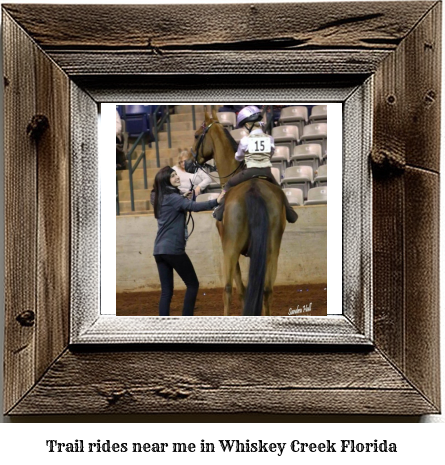 trail rides near me in Whiskey Creek, Florida